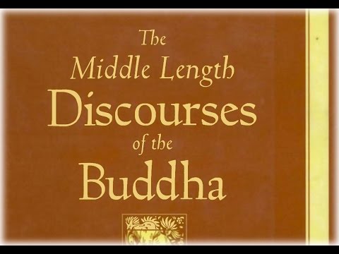 SN12:66 (Sammasana Sutta) | Ajahn Brahmali | 28 February 2016