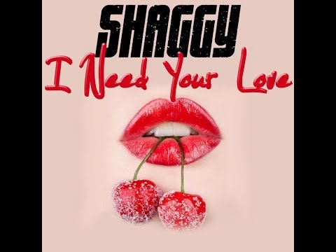 Shaggy Feat. Costi - I Need Your Love / Te Quiero Mas (Musikvideo)