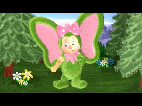 The Hidden Treasure of Wompkee Wood