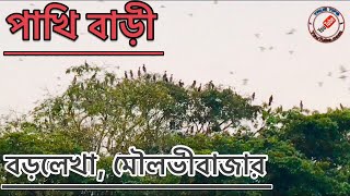 পাখি বাড়ী, হাকালুকি হাওর, বড়লেখা, মৌলভীবাজার, সিলেট।