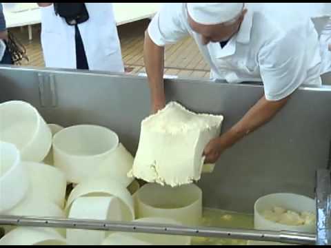 Projeto Queijo Santo Giorno