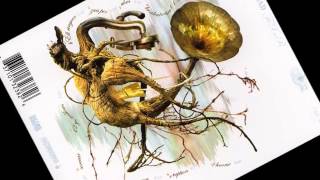 DOWNload Fixer Eruption