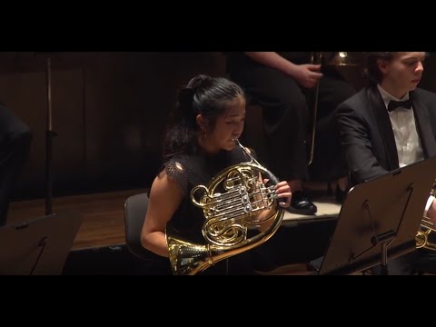Tchaikovsky: Symphony No. 5. II. Horn Solo