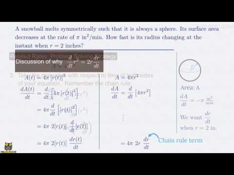 Related Rates: Smowball melts, surface area decreases at given rate