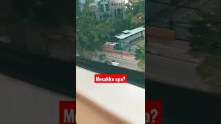 Download lagu MESAKKE OPO?? | Ojo Nangis cover by Damara De #shorts mp3 Download lagu MESAKKE OPO?? | Ojo Nangis cover by Damara De #shorts mp3