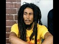 Bob Marley  "One Love " (Demo HD)