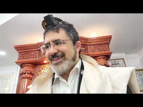 Dealing With Mosquitoes on Shabbat