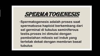 biologi (skema spermatogenesis dan skema oogenesis