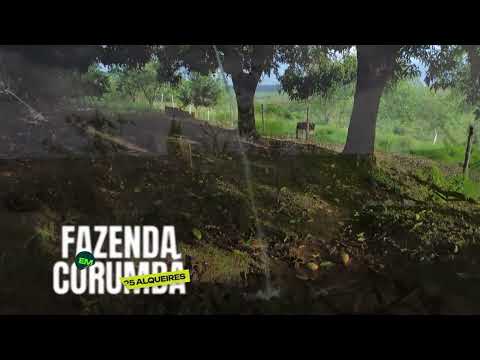 Fazenda com Cachoeiras e 1.500 m de Rio em Corumbá de Goiás | R$ 5 Milhões