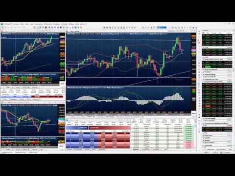 Palinha do Palex - dia 24 janeiro de 2019 - TARDE