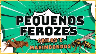 GRILOS E MARIMBONDOS FEROZES