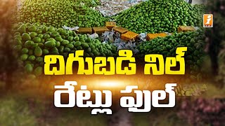 మామిడి దిగుబడి నిల్, రేట్లు ఫుల్ | Highly Reduced Mangoes Yield in 2022 | iNews