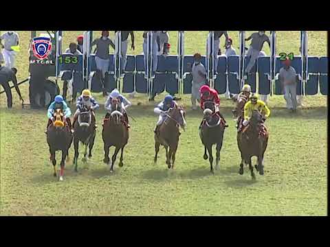 The Bold Statement Plate | Desert Illusion | R.Bheekary