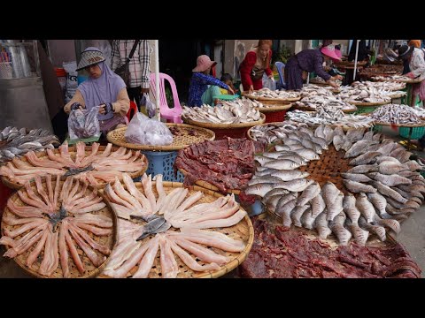 Dry Fish Market Scene in Cambodia - Massive Supply Dry Fish in Kilo 9 Phnom Penh Cambodia