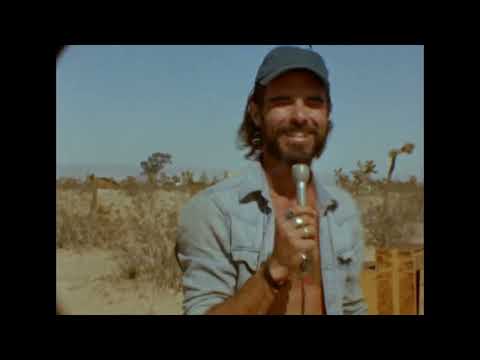 Wanderer - Reuben And The Dark