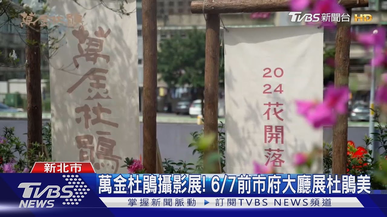 萬金杜鵑攝影展！　6/7前市府大廳展杜鵑美