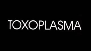 Toxoplasma  -  Gut und Böse