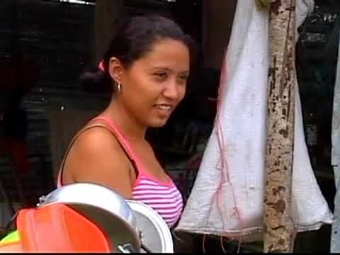 "Guardianes del Corazón Equino: Tras las Cámaras en las Pesebreras de Arjona"