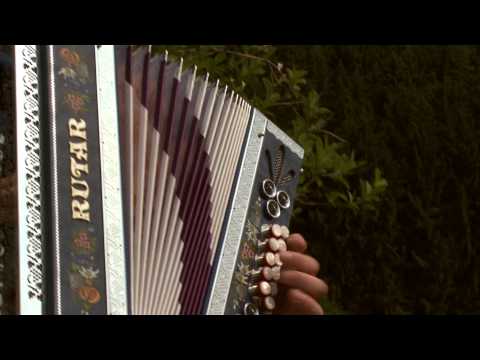 NAVIHANI MUZIKANTI - VSAK DAN ISTA PESEM