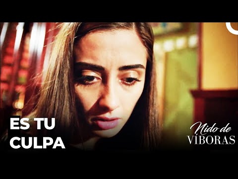 ¡Elvan Se Cayó De Las Escaleras! - Nido De Víboras