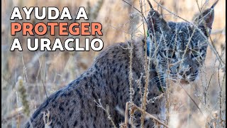 Thumbnail del capítulo