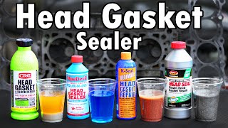 Do Head Gasket Sealers Actually Work (FULL 2yr TEST with Engine Teardown)