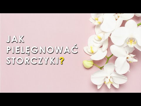 Włosy spadnie na jego głowę 25 lat dla mężczyzn Maska do włosów Napięcie Kharisma z keratyny i kolagenu 500ml kupna