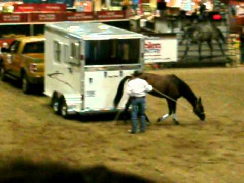 Clinton Anderson Walkabout Tour: Trailer loading