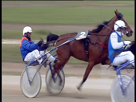 Trotto 02/04/2019 - 2ª corsa