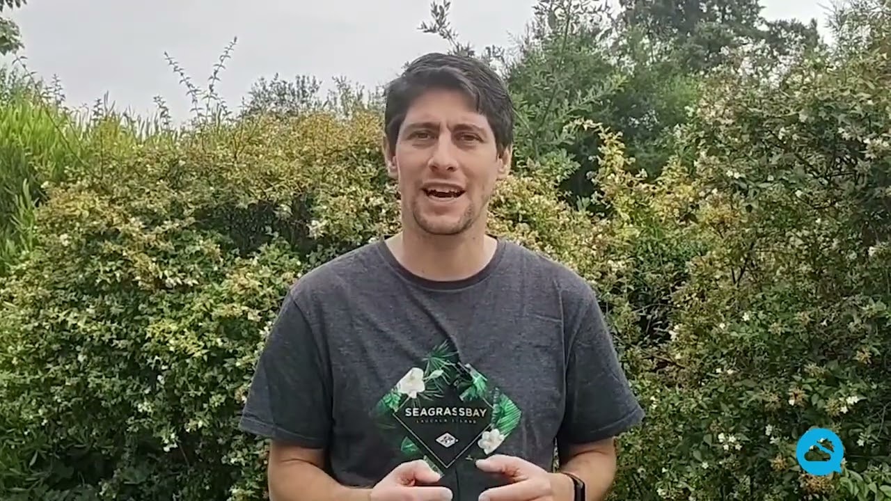 youtube video id=q3bTTjkADC8