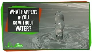 What Happens If You Go Without Water?