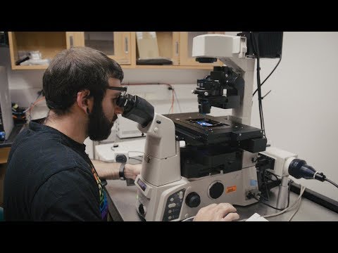 UF Biomedical Sciences Concentration: Neuroscience