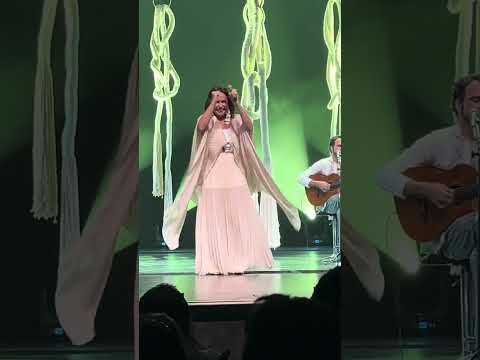 Bandeira Flor - Daniela Mercury