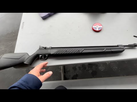 Crosman 362 - review & shooting test. Pneumatics are amazing!