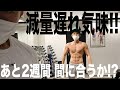 【結構ヤバイ!!】2週間前の仕上がりが不完全!!ここから絞り切れるのか!?【減量】【筋トレ】
