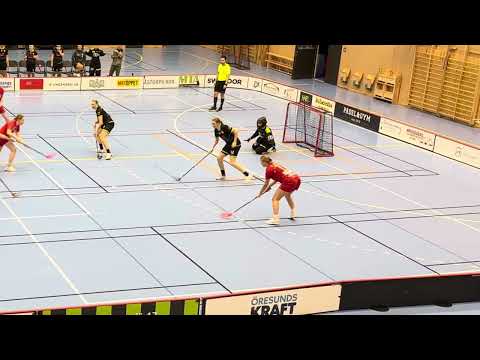 Highlights Damer Div.1 Västsvenska Åstorp/Kvidinge IBS - FBC  Lerum 3-4 sudden