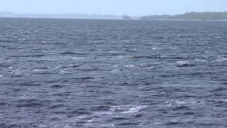 preview picture of video 'Light  winds on Lough Derg spring 2011'