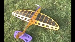 Marston 3D Fish RC airplane - from mild to wild