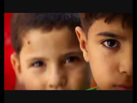 The World Humanitarian Day 2012- Dubai