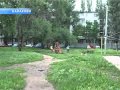 Убийство 5ти летней девочки в Балаково. 