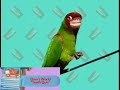Noggin S Bedtime Business Teeth Quiz Elmo S World