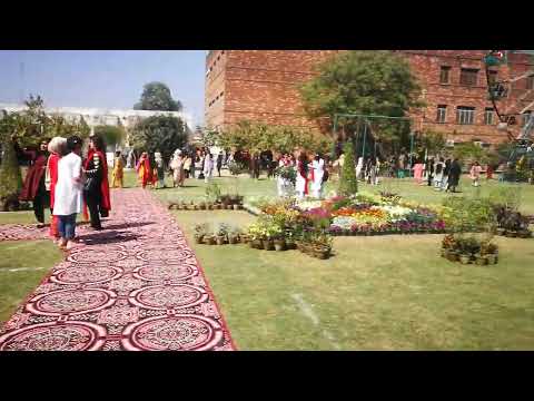 Culture Day Highlights #2 Gc university sialkot 2022