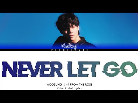 우성 WOOSUNG 'Never Let Go' Lyrics (Color Coded Lyrics)