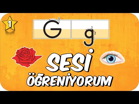 G Sesi Öğretimi 🌹 Okunuşu ve Yazılışı 🌞 1.Sınıf #2025