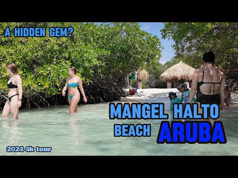 Aruba Mangel Halto Beach 4k tour