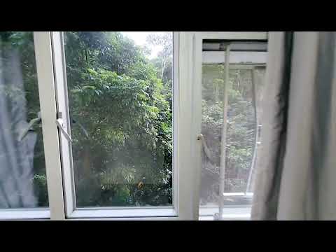 广源邨 Youtube Video