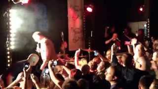 Inspiral Carpets 2014 Butterfly