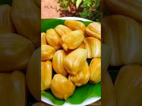 #subscribe #shortvideo #foodie