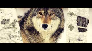 Neil Kramer on Depression & Suicide and the Reasons Behind Them - Roamcast # 12 - October 14, 2014