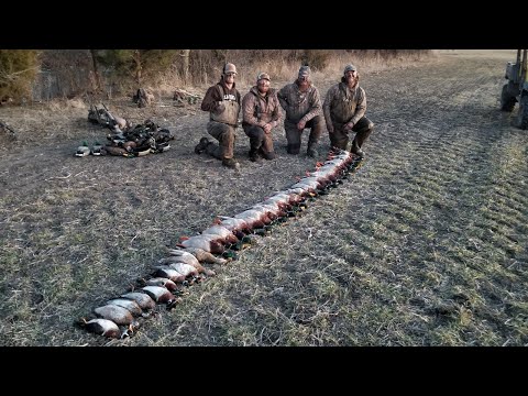 EPIC TINY Mud Hole Mallards in Our FACE!! - Duck Hunt of A Lifetime (Carter's Big Island)